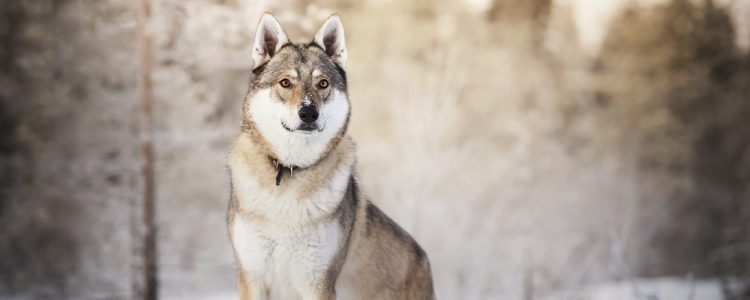 Kurssit ja Tapahtumat