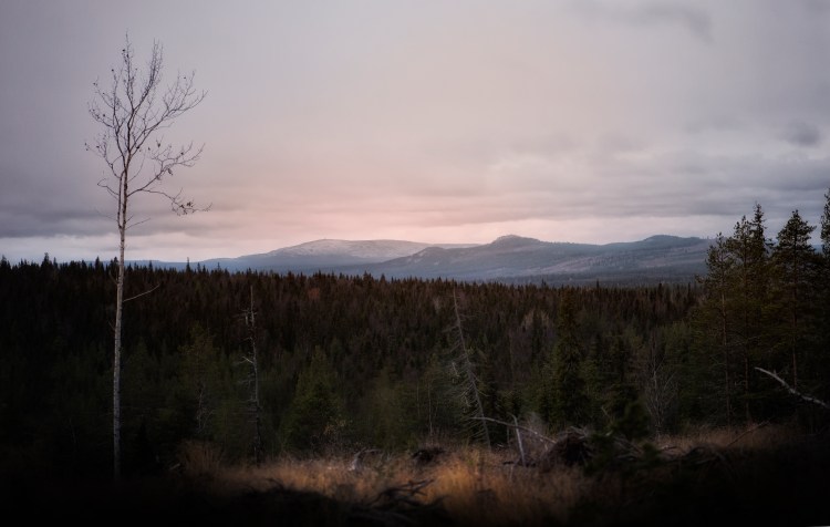 Monimuoto-opetus ja etäohjaus