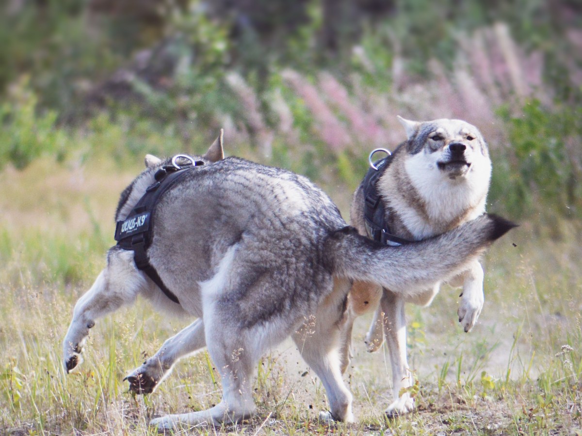 Tapahtumat ja luennot